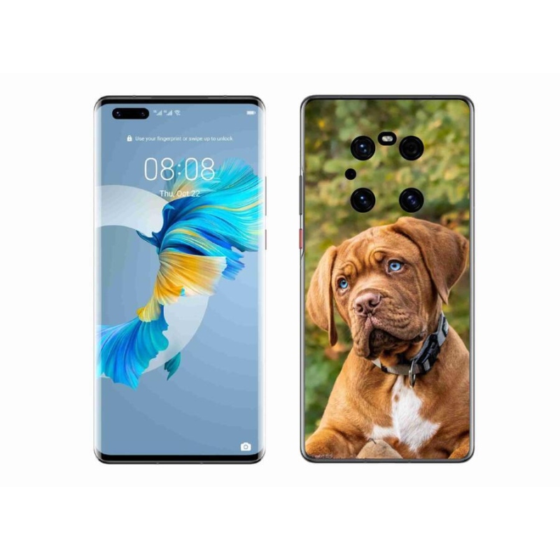 Gél borítás mmCase a Huawei Mate 40 Pro készülékhez - kölyökkutyakék