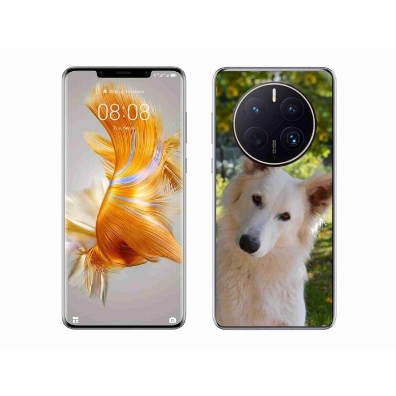 Zselés borítás mmCase a Huawei Mate 50 Pro készülékhez - fehér Swiss Shepherd 1
