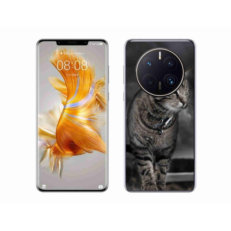 Zselés borítás mmCase a Huawei Mate 50 Pro készülékhez - macska