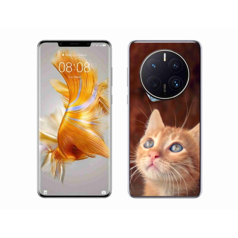 Gél borító mmCase a mobil Huawei Mate 50 Pro készülékhez - pillangó és cica