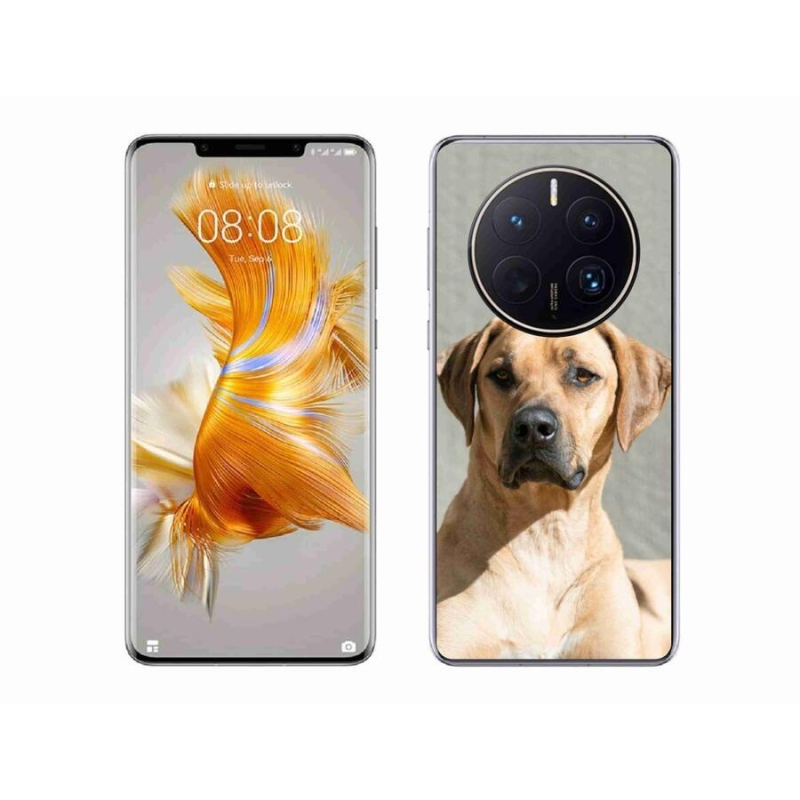 Gél borítás mmCase a Huawei Mate 50 Pro készülékhez - ridgeback