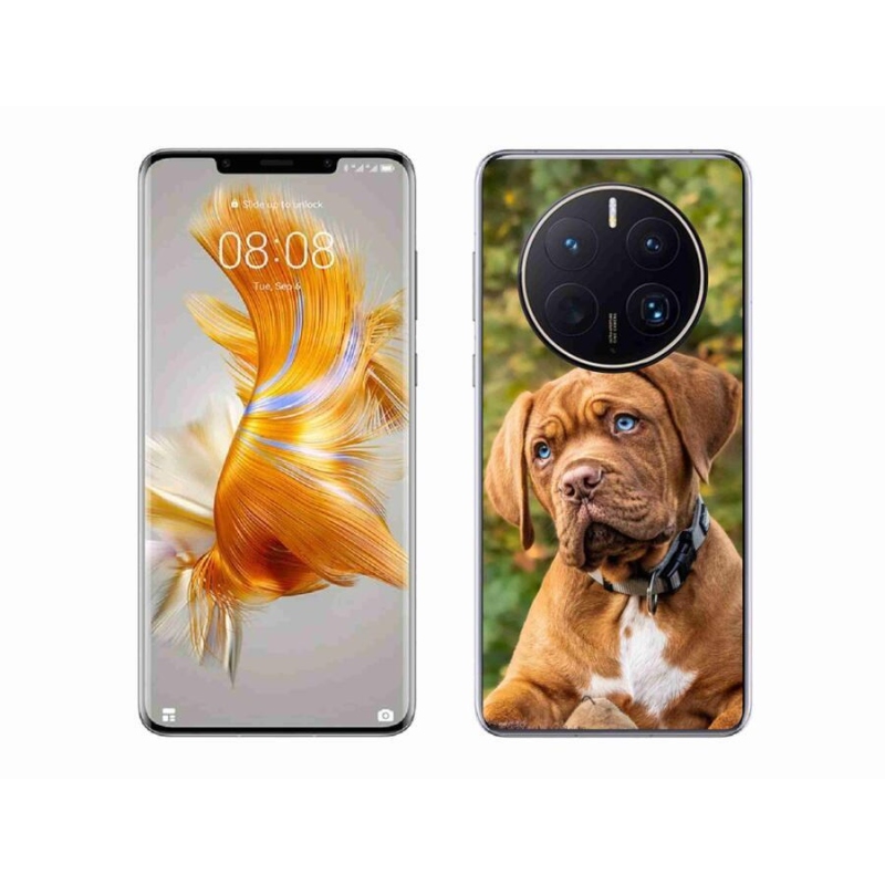 Gél borítás mmCase a Huawei Mate 50 Pro készülékhez - kölyökkutyakék
