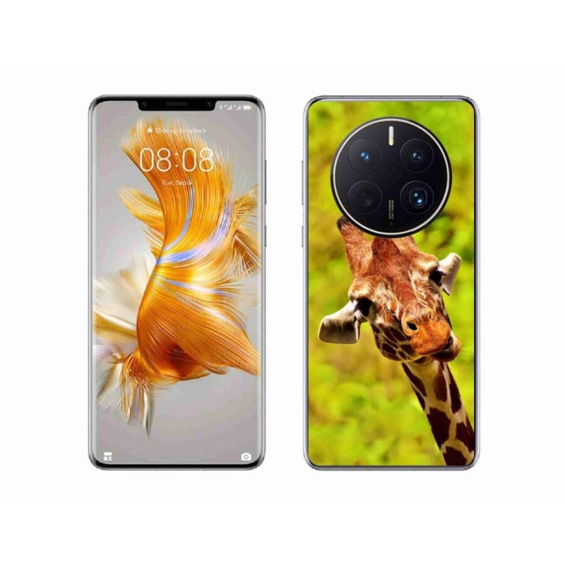 Zselés borítás mmCase a Huawei Mate 50 Pro készülékhez - zsiráf