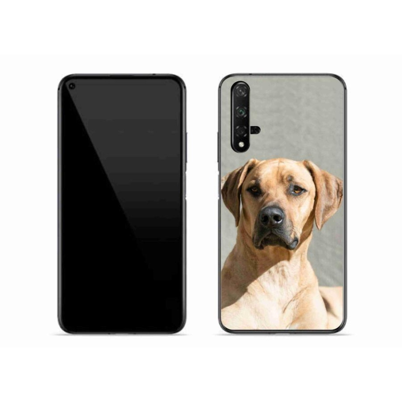 Gél borítás mmCase a Huawei Nova 5T számára - ridgeback