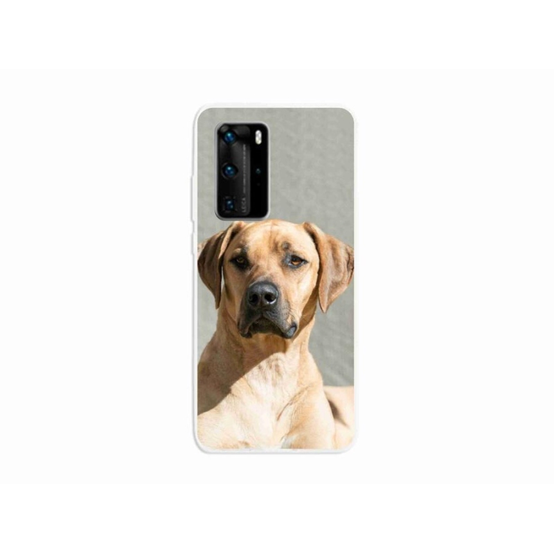 Gél borítás mmCase a Huawei P40 Pro számára - ridgeback