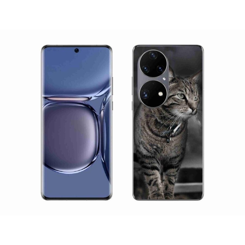 Zselés borítás mmCase mobil Huawei P50 Pro - macska