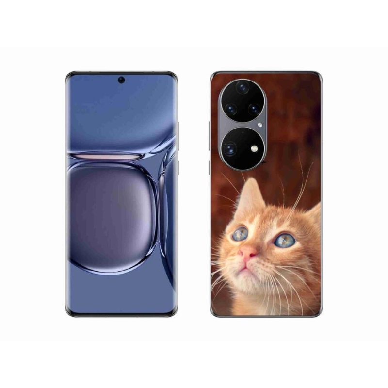 Gél borító mmCase a mobil Huawei P50 Pro készülékhez - pillangó és cica