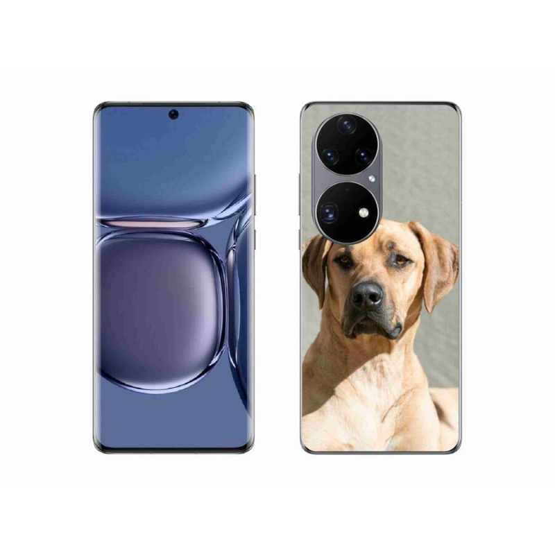 Gél borítás mmCase a Huawei P50 Pro készülékhez - ridgeback