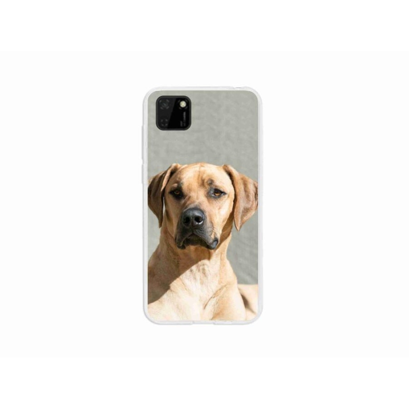 Gél borítás mmCase a Huawei Y5p-hez - ridgeback