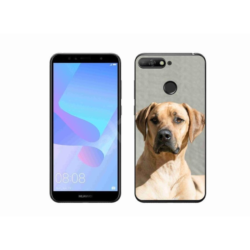 Gél borítás mmCase a Huawei Y6 Prime (2018) számára - ridgeback