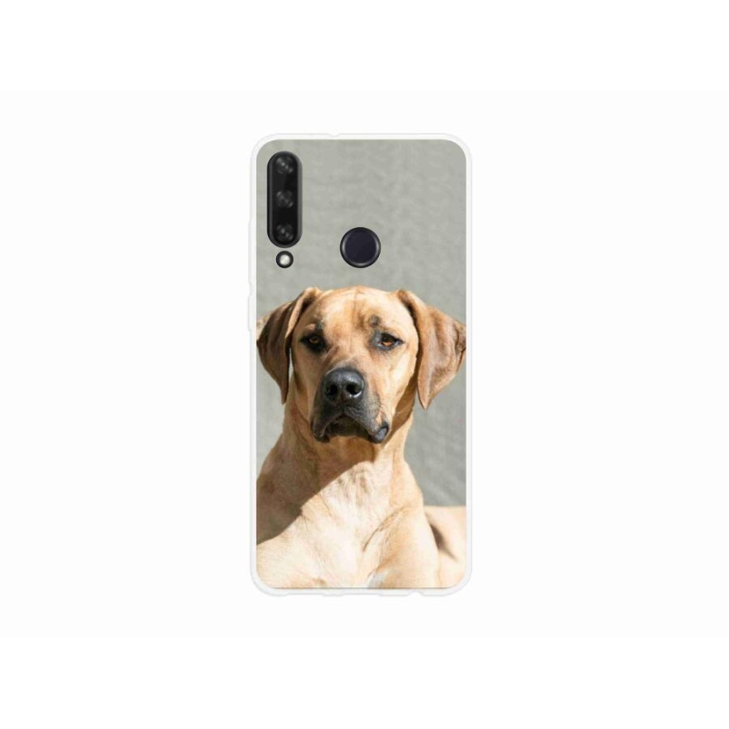 Gél borítás mmCase a Huawei Y6p-hez - ridgeback