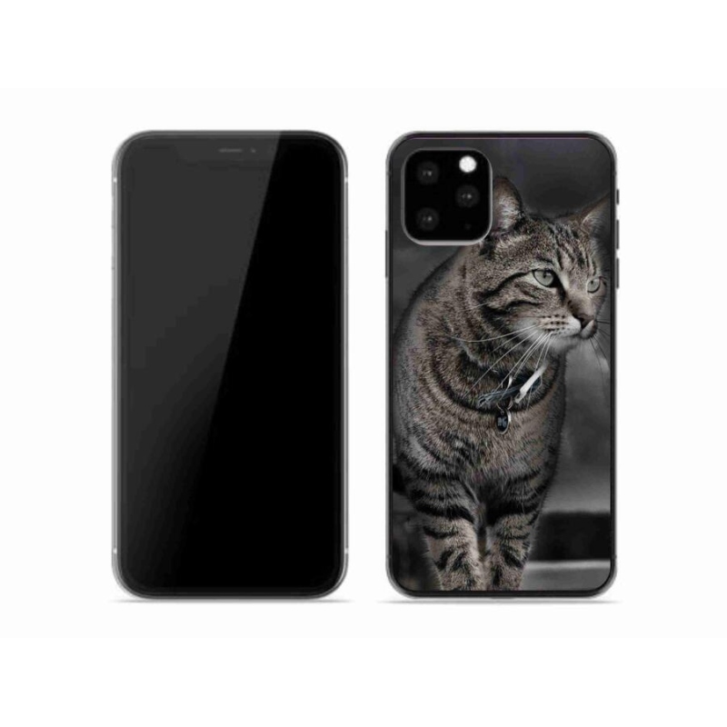 Zselés borítás mmCase iPhone 11 Pro készülékhez - macska