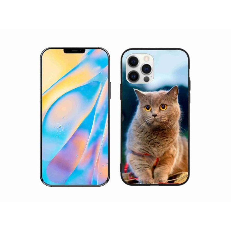 Zselés borítás mmCase iPhone 12 készülékhez - brit kék 2