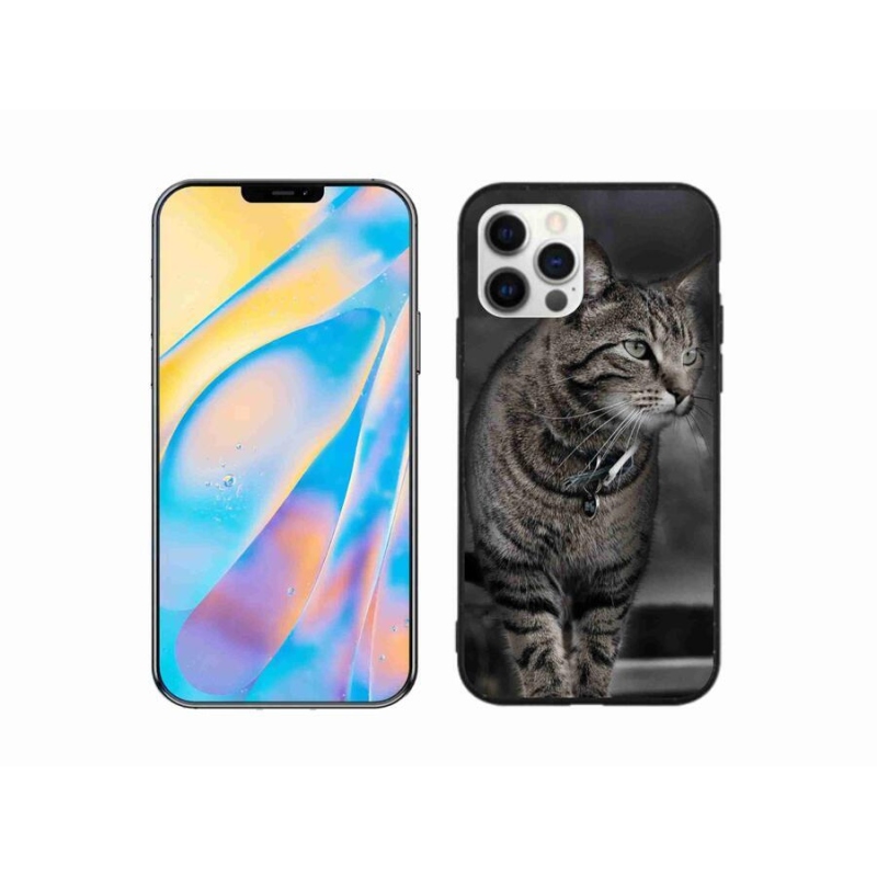 Zselés borítás mmCase iPhone 12 készülékhez - macska