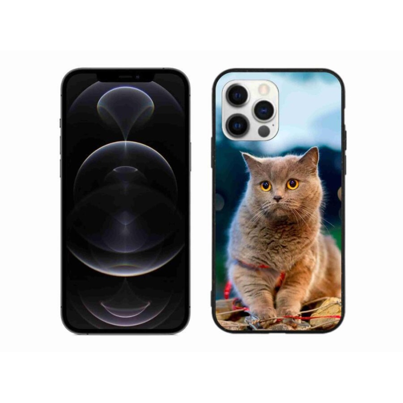 Gél védőburkolat mmCase iPhone 12 Pro Max készülékhez - Brit kék 2