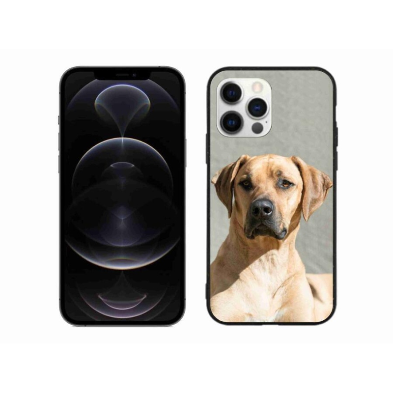 Zselés borítás mmCase iPhone 12 Pro Max készülékhez - ridgeback