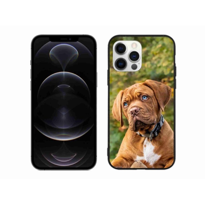 Gél borítás mmCase iPhone 12 Pro Max készülékhez - kölyökkék