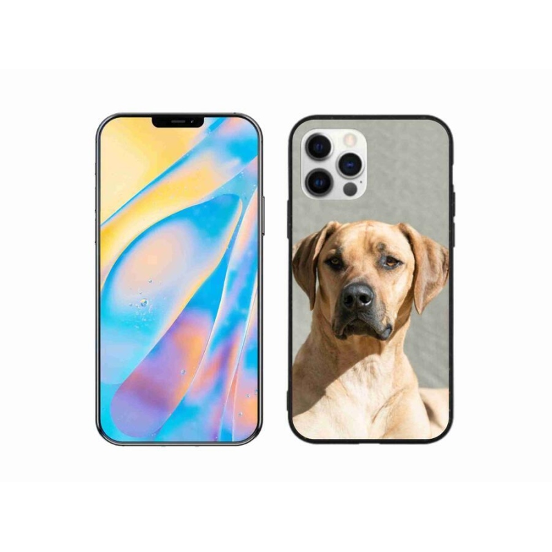 Zselés borítás mmCase iPhone 12 Pro készülékhez - ridgeback