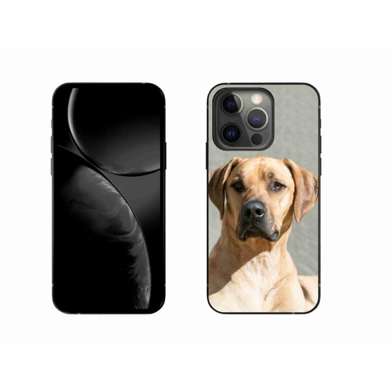 Zselés borítás mmCase iPhone 13 Pro 6.1 készülékhez - ridgeback