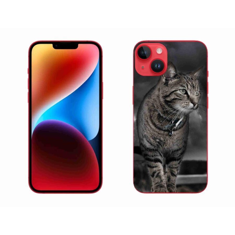 Zselés borítás mmCase iPhone 14 Plus készülékhez - macska