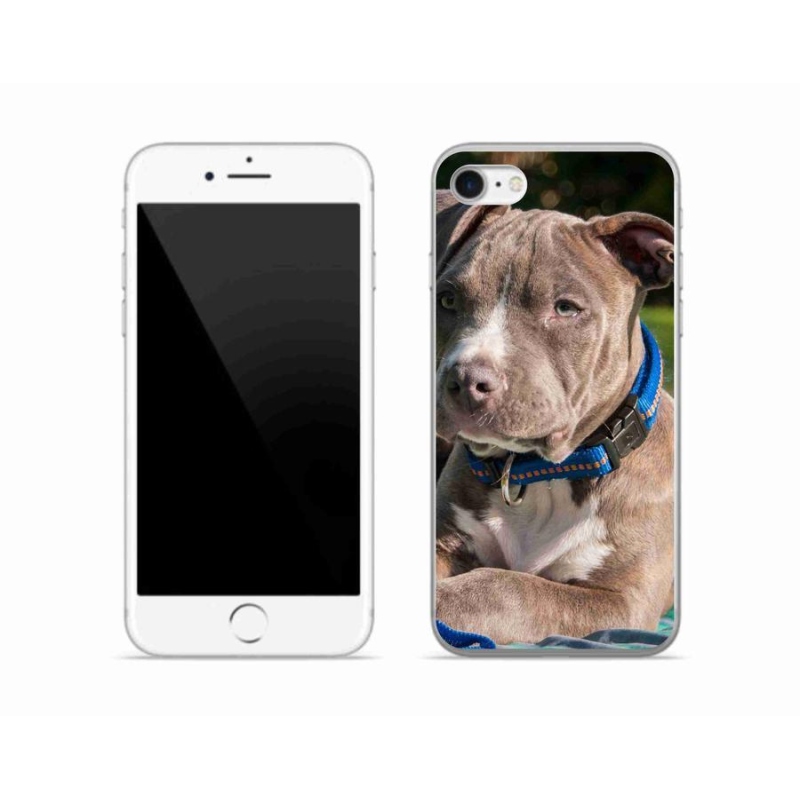 Zselés borítás mmCase iPhone SE (2020) - pitbull