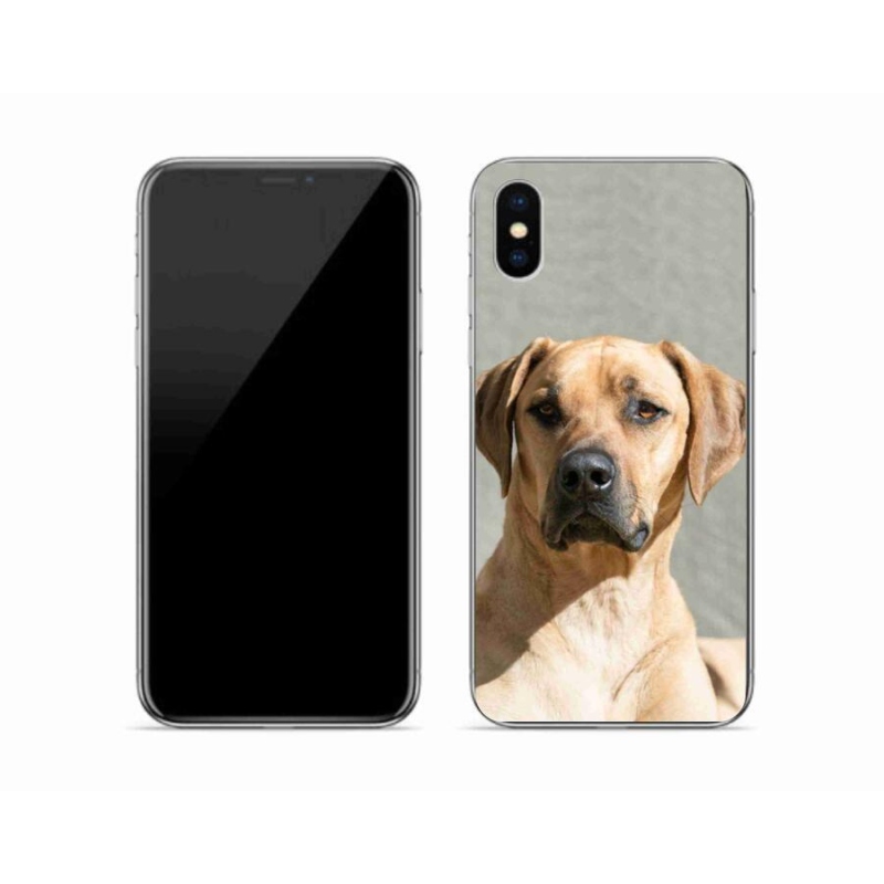 Gél borítás mmCase iPhone X készülékhez - ridgeback
