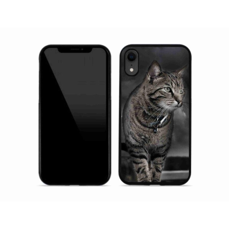 Zselés borítás mmCase iPhone XR készülékhez - macska