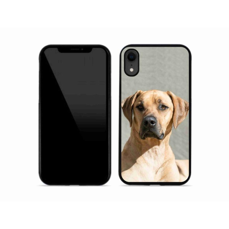 Zselés borítás mmCase iPhone XR készülékhez - ridgeback