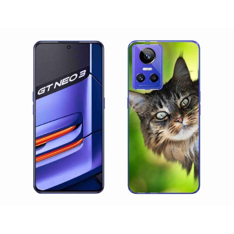 Zselés borítás mmCase a Realme GT Neo 3 számára - cat 3