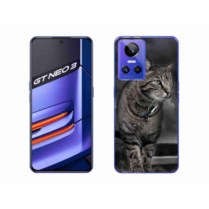 Zselés borítás mmCase a Realme GT Neo 3 készülékhez - macska