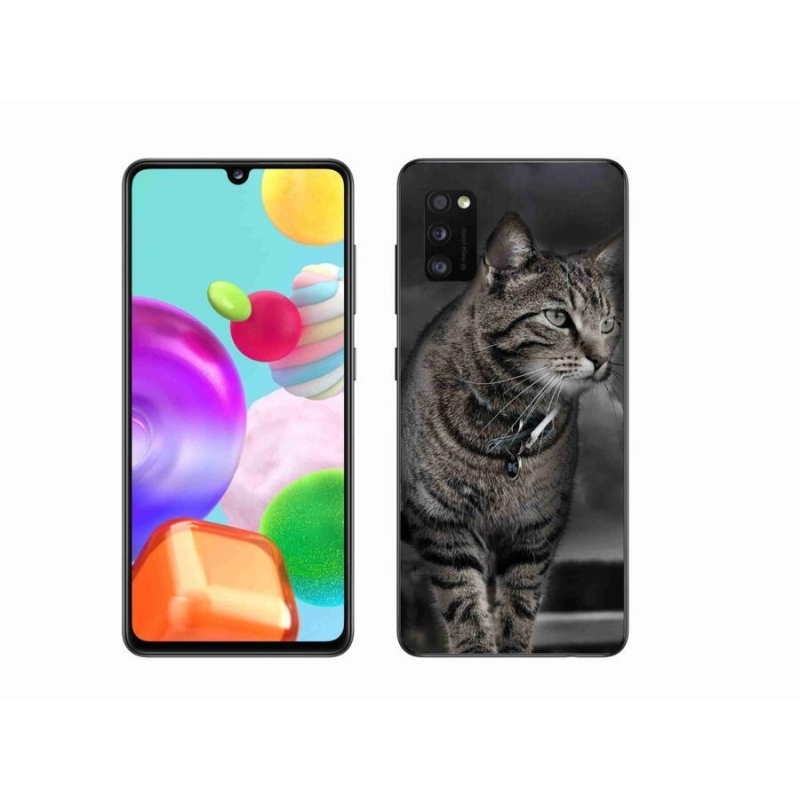 Zselés borítás mmCase Samsung Galaxy A41 - macska