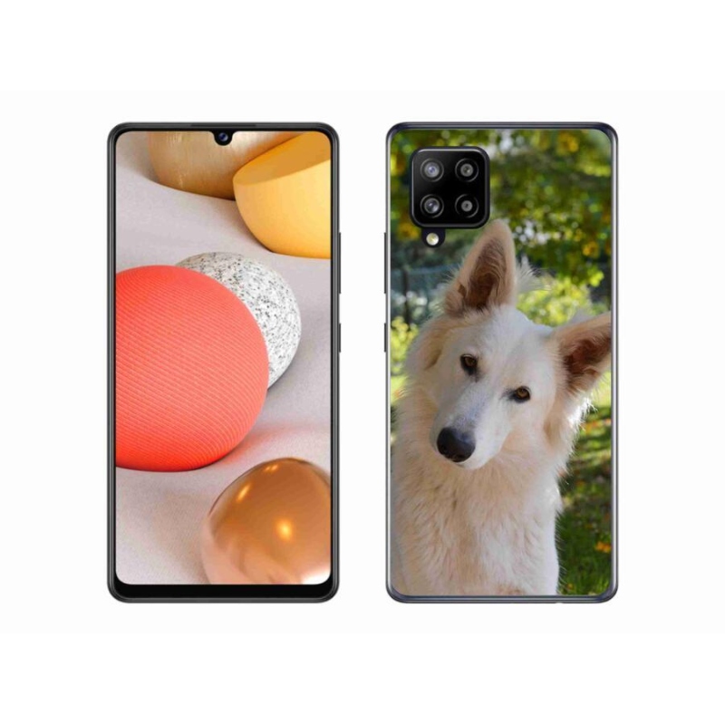 Gél védőhuzat mmCase Samsung Galaxy A42 5G - fehér Svájci juhász 1