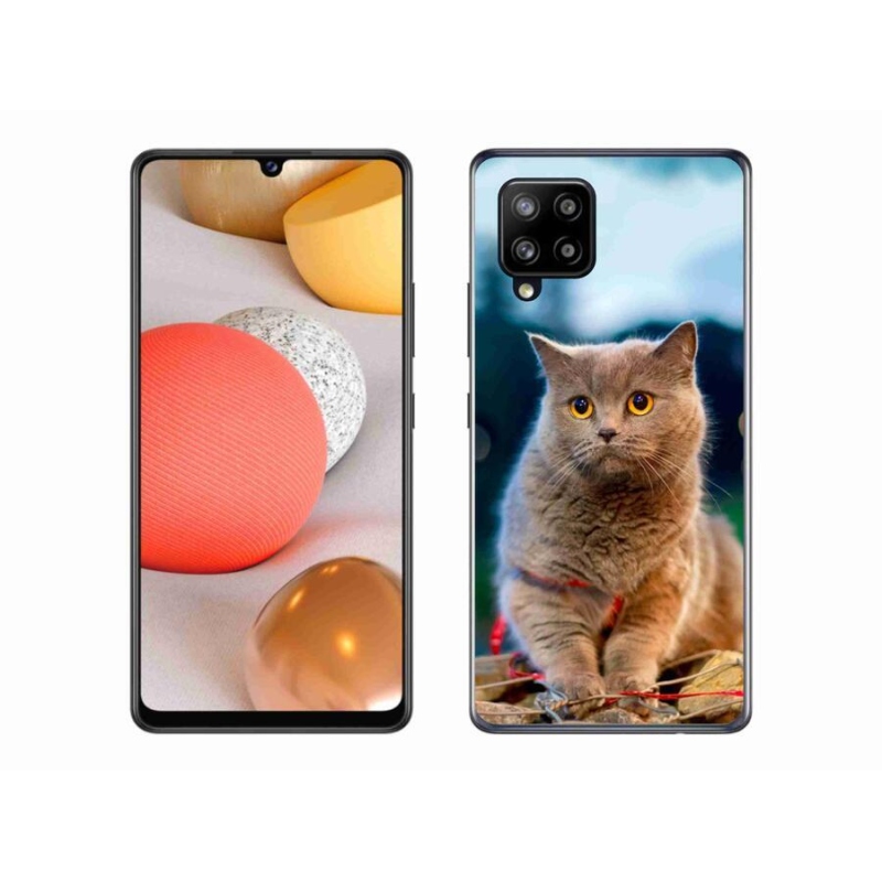 Gél védőhuzat mmCase Samsung Galaxy A42 5G - brit kék 2