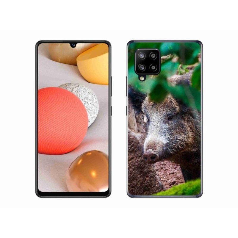 Gél borító mmCase Samsung Galaxy A42 5G - vaddisznóhoz