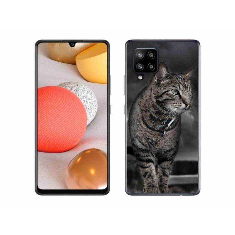 Zselés borítás mmCase Samsung Galaxy A42 5G - macska