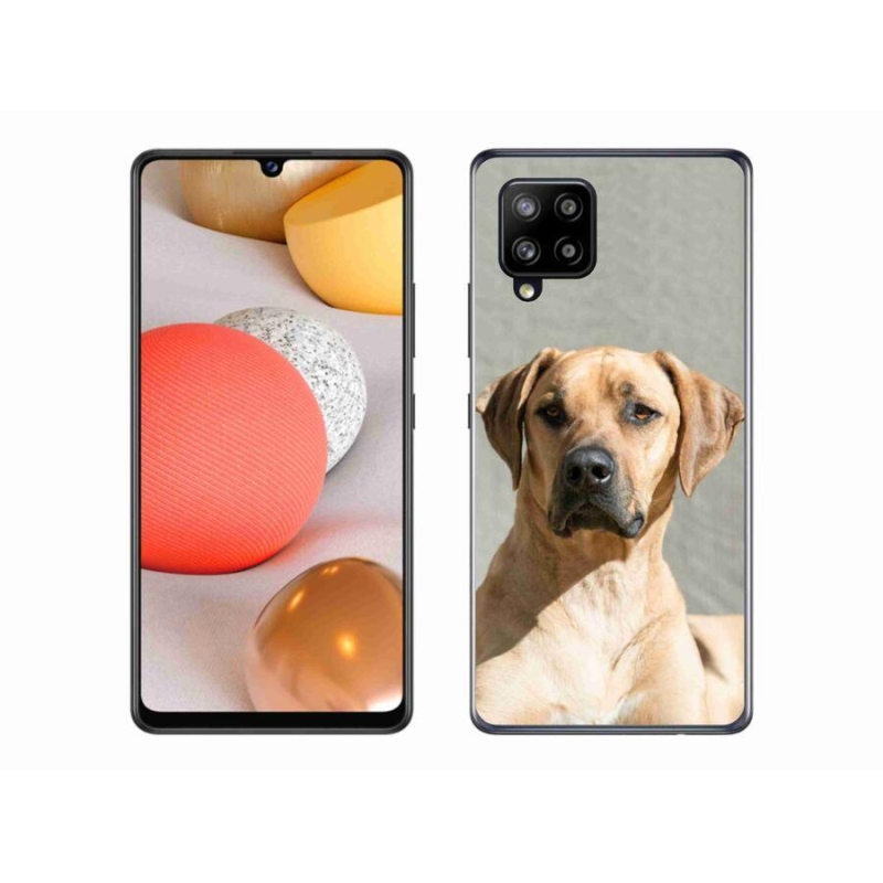 Zselés borítás mmCase Samsung Galaxy A42 5G - ridgeback