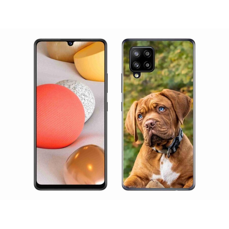 Zselés borítás mmCase Samsung Galaxy A42 5G - kölyökkutyakékhez