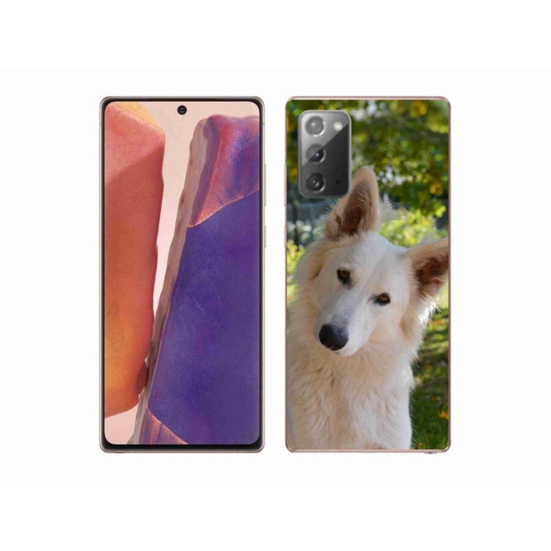 Zselés borítás mmCase Samsung Galaxy Note 20/Note 20 5G - fehér svájci pásztor 1