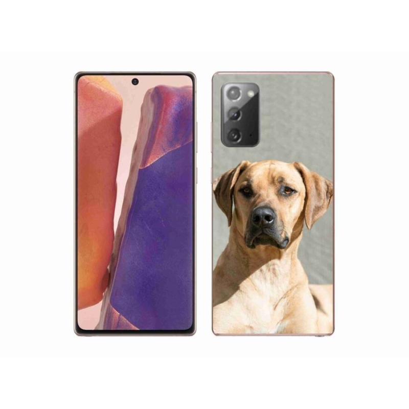 Zselés borítás mmCase Samsung Galaxy Note 20/Note 20 5G - ridgeback