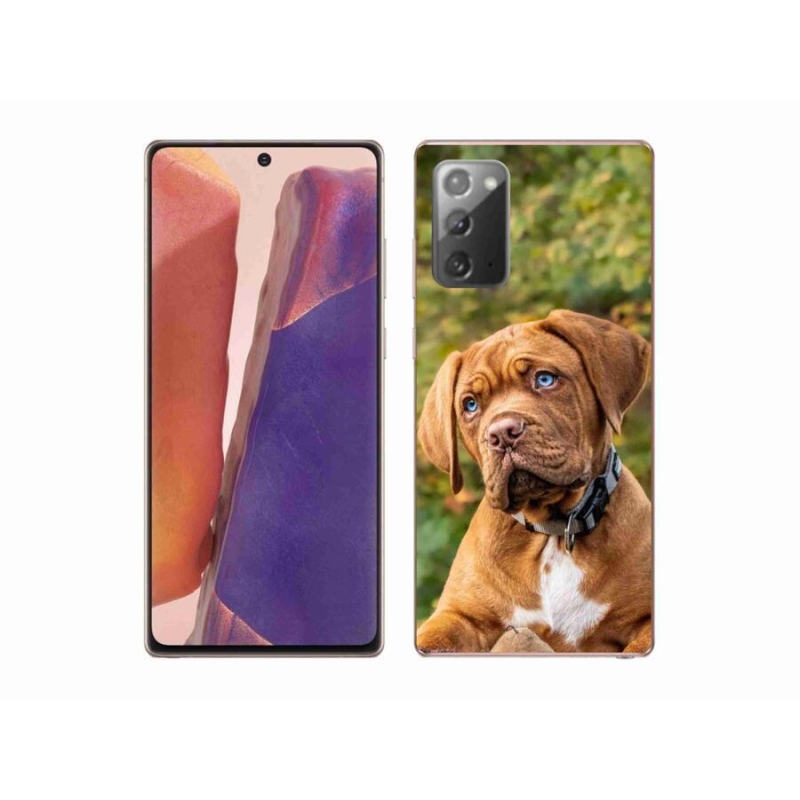 Zselés borítás mmCase Samsung Galaxy Note 20/Note 20 5G - kölyökkutyakék