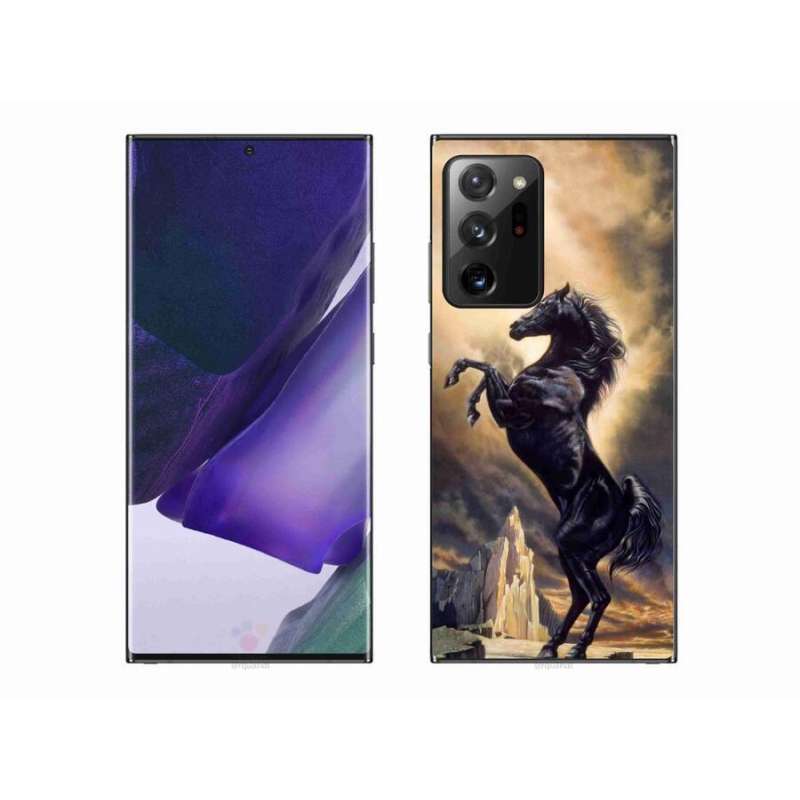 Zselés borítás mmCase Samsung Galaxy Note 20 Ultra - fekete rajzfilm lóhoz