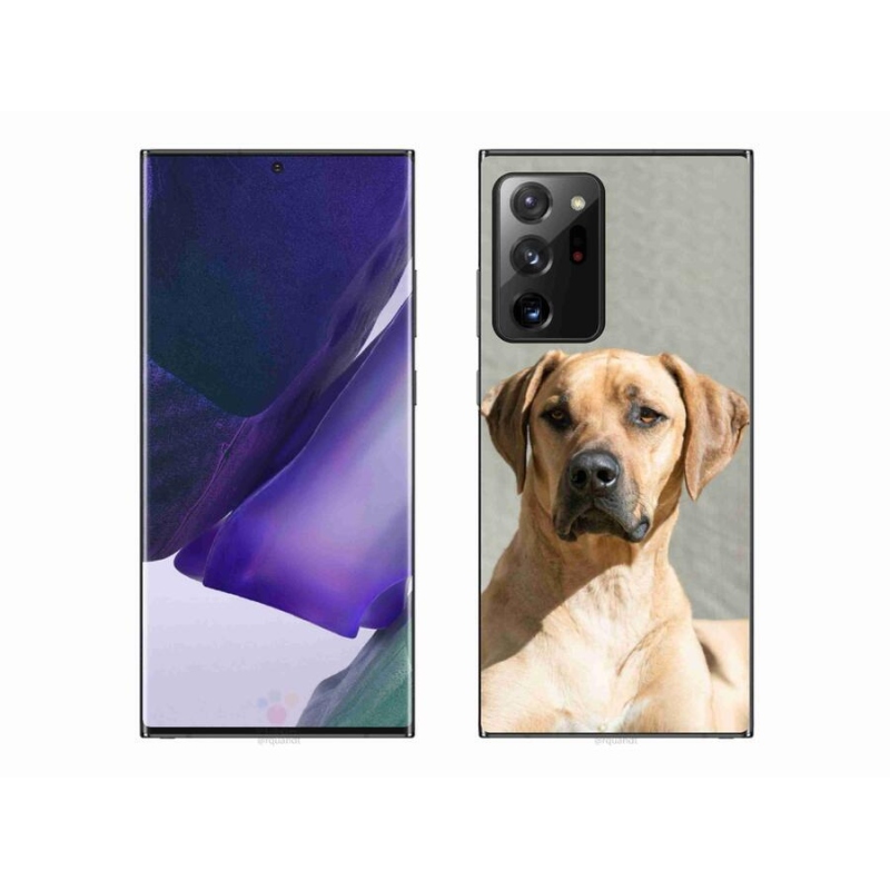 Zselés borítás mmCase Samsung Galaxy Note 20 Ultra - ridgeback