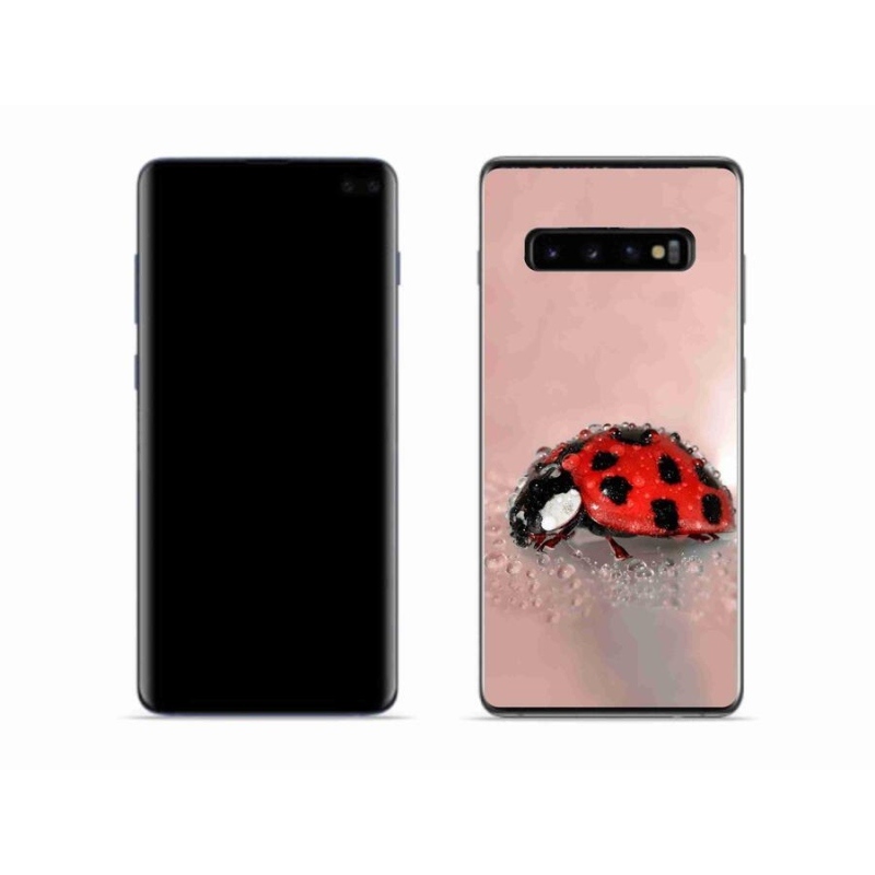 Zselés borítás mmCase Samsung Galaxy S10 készülékhez - katicabogár