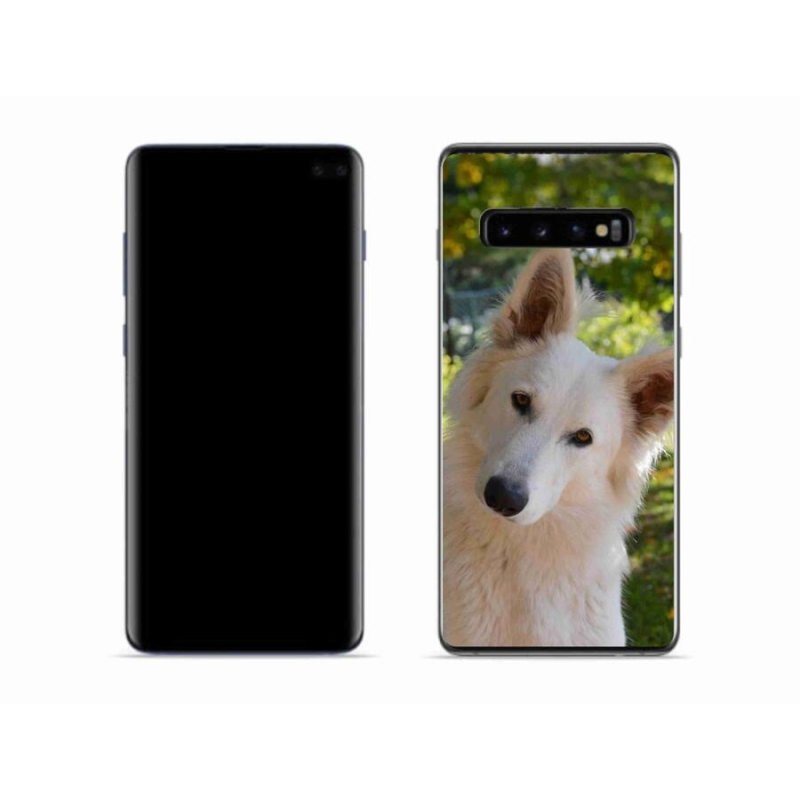 Gél borítás mmCase Samsung Galaxy S10 - fehér svájci juhász 1