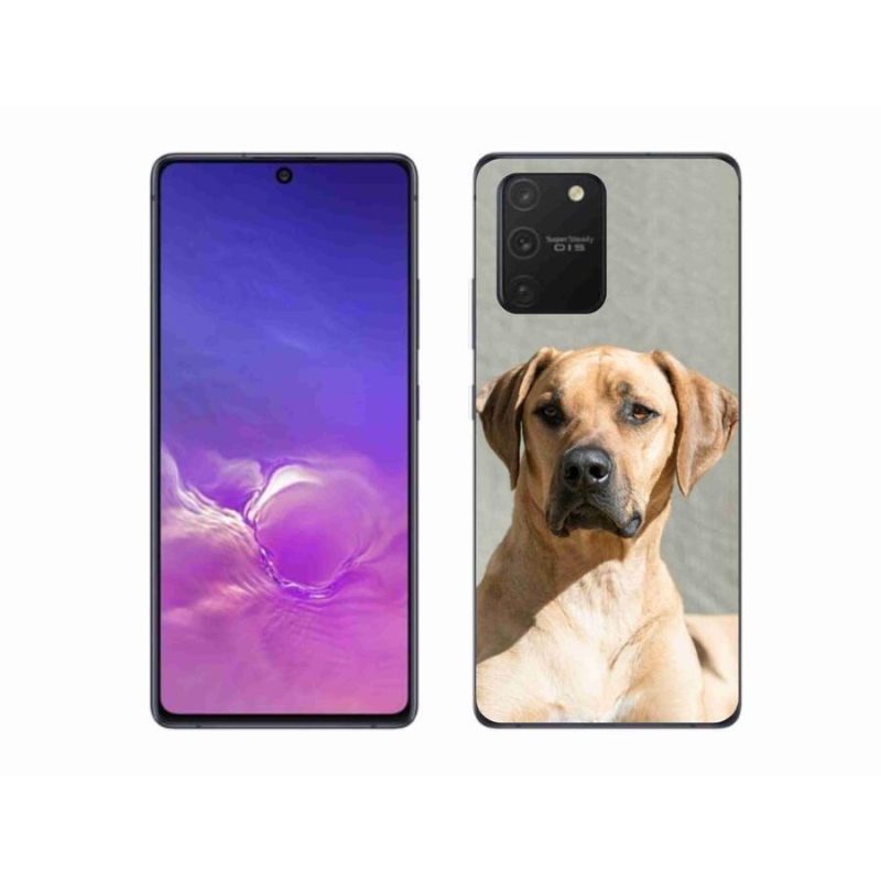 Zselés borítás mmCase Samsung Galaxy S10 Lite készülékhez - ridgeback