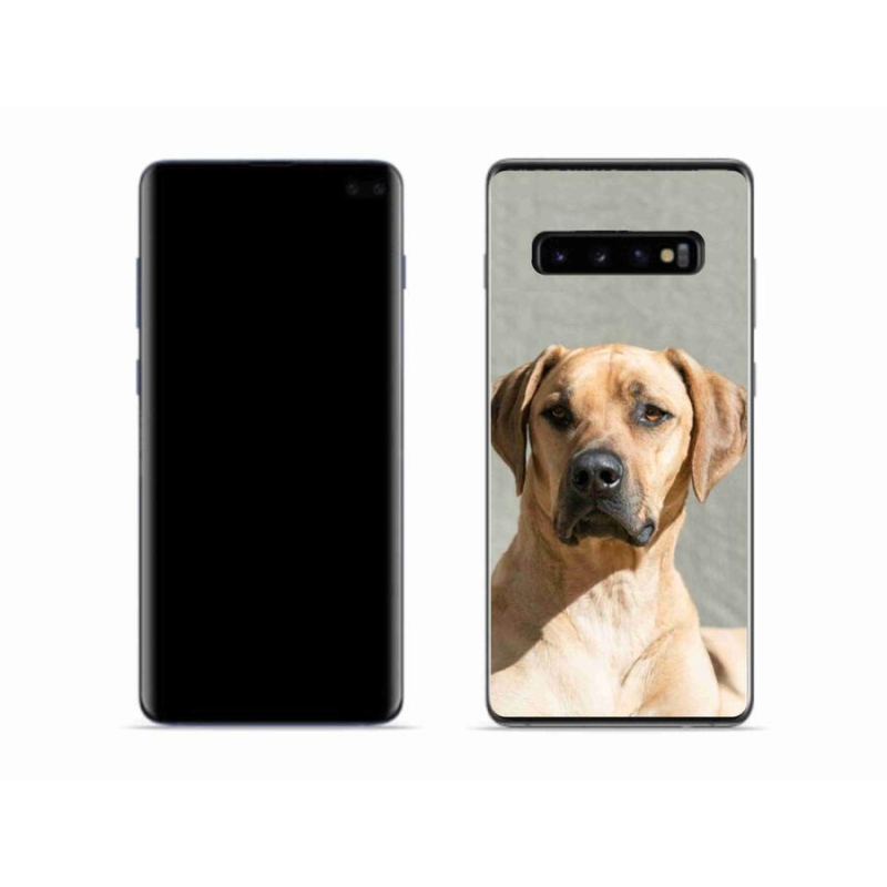 Zselés borítás mmCase Samsung Galaxy S10 készülékhez - ridgeback