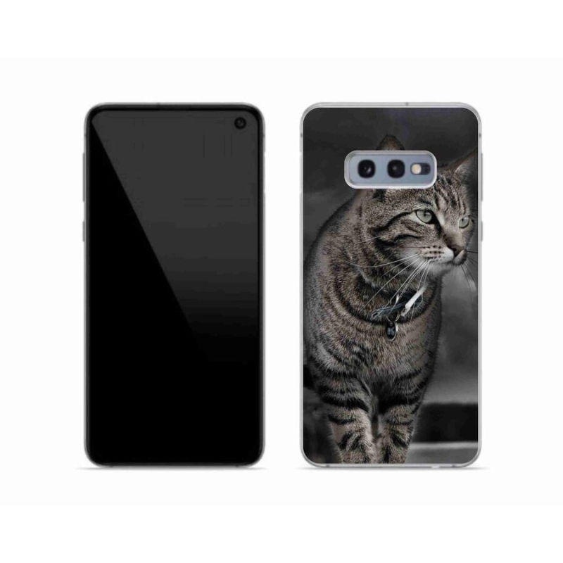 Zselés borítás mmCase Samsung Galaxy S10e készülékhez - macska