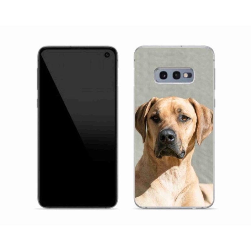Gél védőhuzat mmCase Samsung Galaxy S10e készülékhez - ridgeback