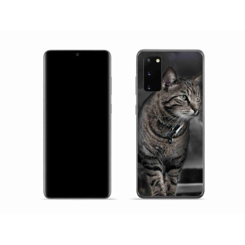 Zselés borítás mmCase Samsung Galaxy S20 készülékhez - macska