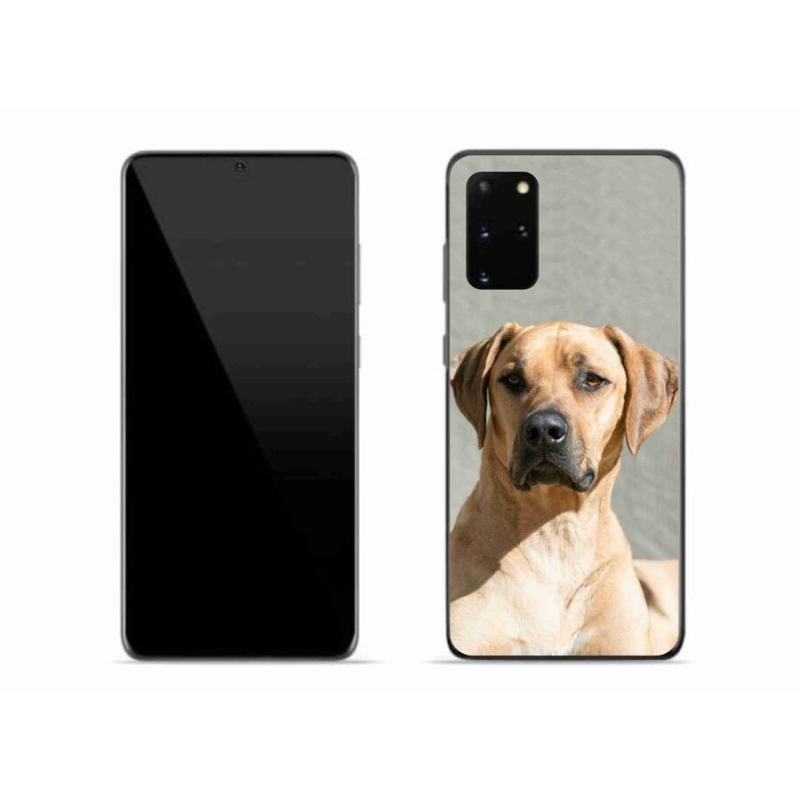 Gél védőhuzat mmCase Samsung Galaxy S20 Plus készülékhez - ridgeback